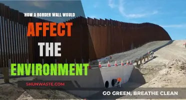 Border Wall's Environmental Impact: Biodiversity, Ecosystems, and Habitat Destruction