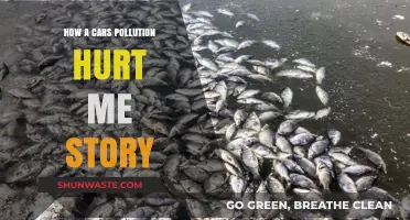 Cars' Pollution: My Story of Harm and Hurt