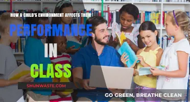 Classroom Success: How a Child's Environment Shapes Academic Performance
