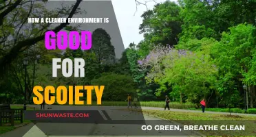 Clean Environment, Healthy Society: Benefits of Sustainable Living