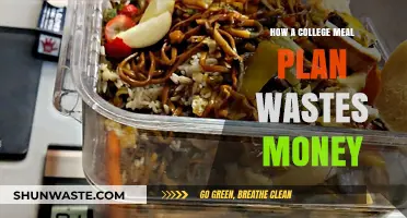 College Meal Plans: Hidden Costs and Wasted Money Explained