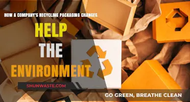 Sustainable Packaging Innovations: How Companies' Recycling Efforts Benefit Our Planet