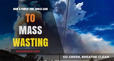 Forest Fires Triggering Landslides: Understanding the Link to Mass Wasting