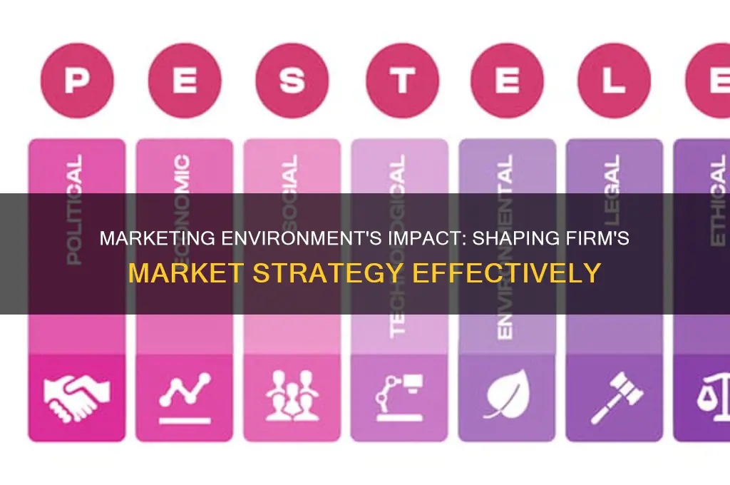 how a marketing environment affects a firm