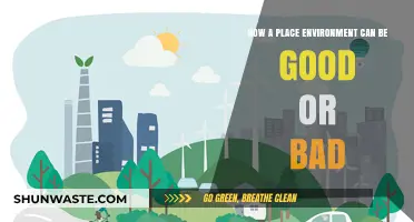 Environment's Impact: How Surroundings Shape Our Well-Being and Experiences