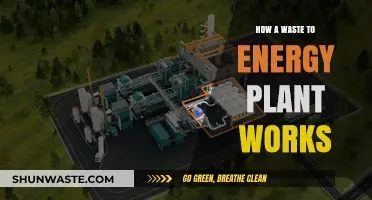 Transforming Trash to Power: Inside Waste-to-Energy Plant Operations