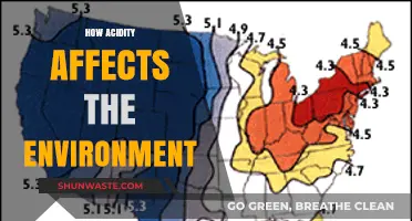 Environmental Impact of Acidity: Understanding Its Harmful Effects on Nature