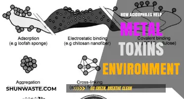 Acidophiles: Nature's Cleanup Crew for Metal Toxins in Extreme Environments