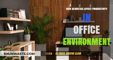 Sound Strategies: Boosting Office Productivity Through Optimal Acoustic Design