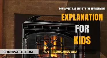 Gas Stoves and Our Planet: A Kid-Friendly Environmental Guide