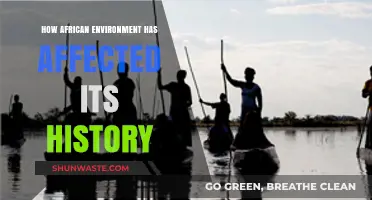 Africa's Environment: Shaping History, Culture, and Societal Evolution
