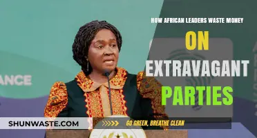 Africa's Misspent Wealth: Leaders' Extravagant Parties Amidst Poverty Crisis