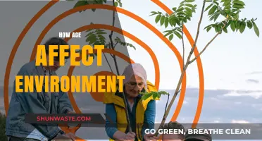 Aging Populations: Environmental Impacts and Sustainable Solutions for the Future