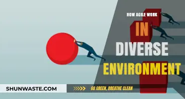 Agile Strategies for Thriving in Diverse and Dynamic Work Environments