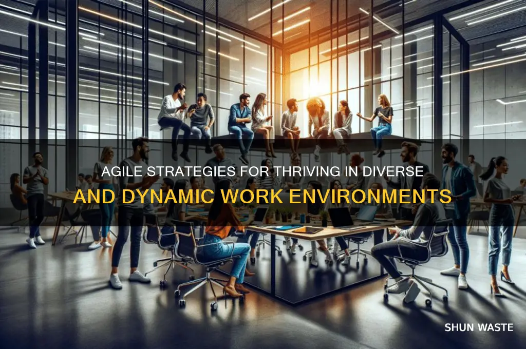 how agile work in diverse environment