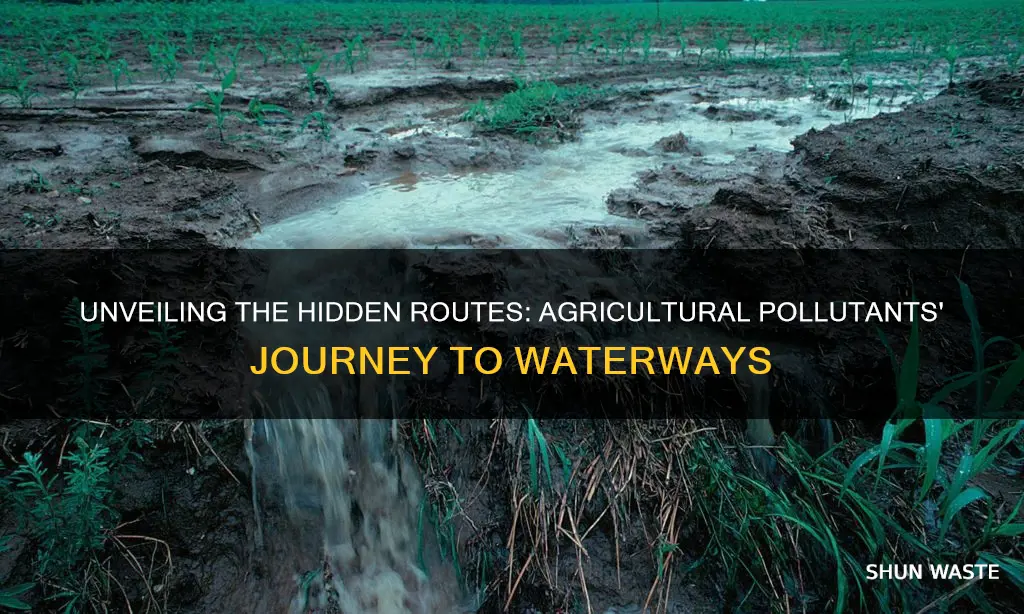 how agricultural pollutants enter water bodies