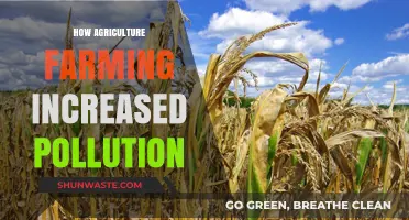 Agriculture's Dark Side: Pollution from Farming