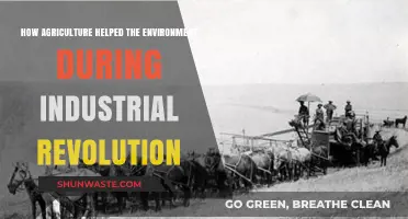 Agriculture's Green Legacy: Environmental Resilience Amidst Industrial Revolution's Rise