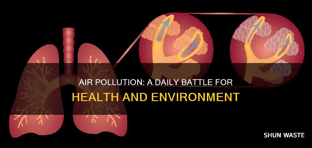 how air and pollution of it affects our everyday life