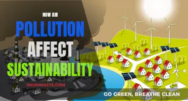 Air Pollution's Impact on Sustainability and Our Future