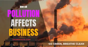 Air Pollution's Impact: Businesses Choking on Losses and Health