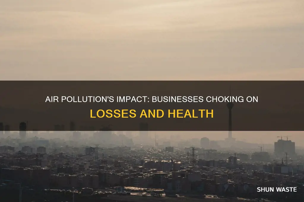 how air pollution affects business