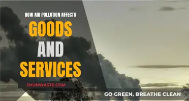 Air Pollution's Impact: Goods and Services Endangered