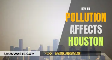 Houston's Air Pollution: A Health Crisis Unveiled