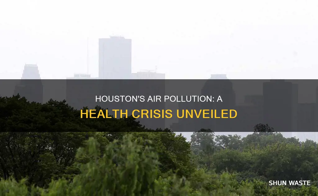 how air pollution affects houston