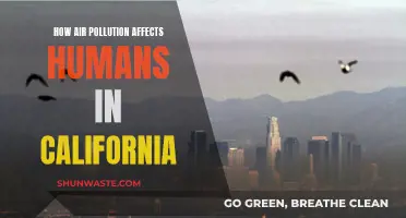 Air Pollution's Impact on Californians: A Health Crisis