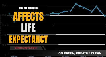 Air Pollution's Impact: Life Expectancy and Health