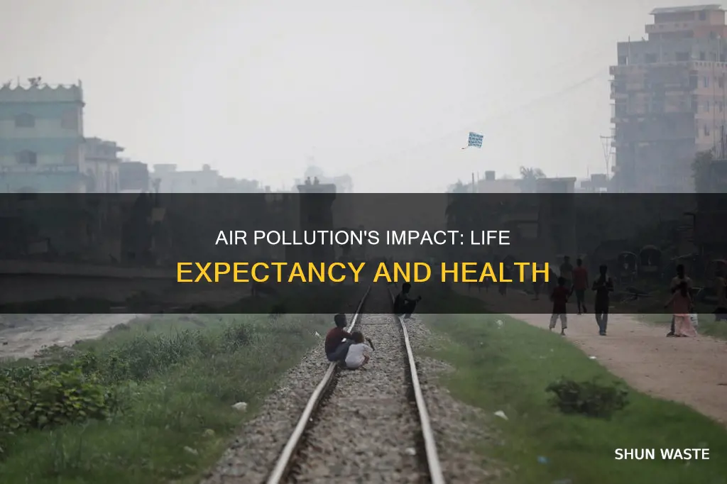 how air pollution affects life expectancy