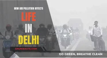 Air Pollution's Impact: Delhi's Daily Struggle