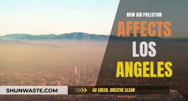 Air Pollution's Impact on Los Angeles' Environment and Health