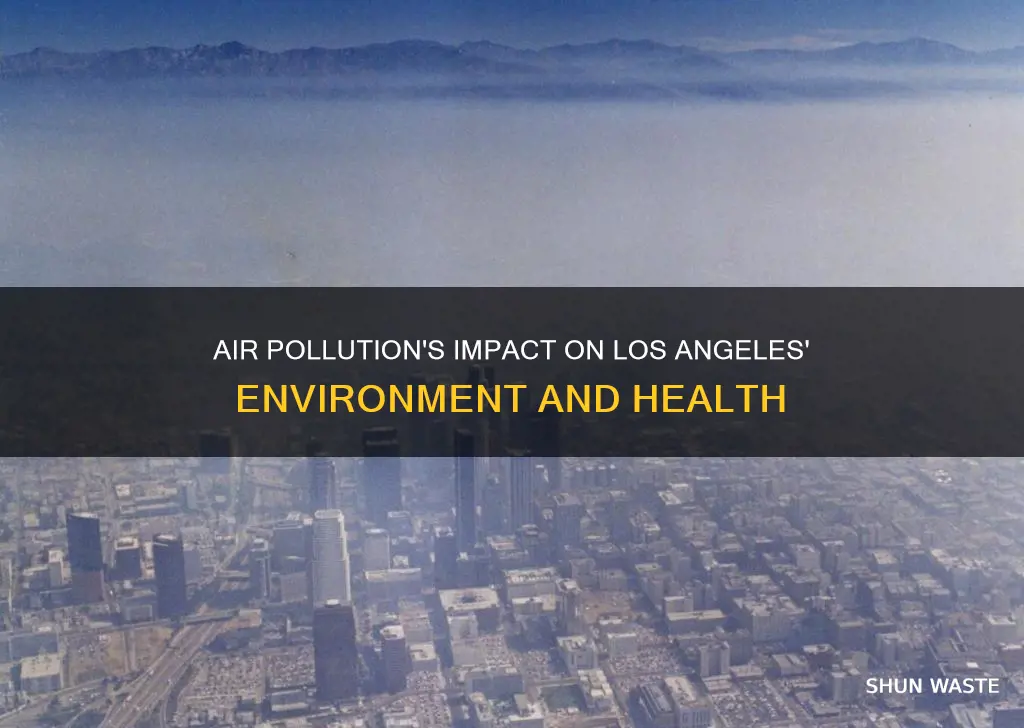 how air pollution affects los angeles