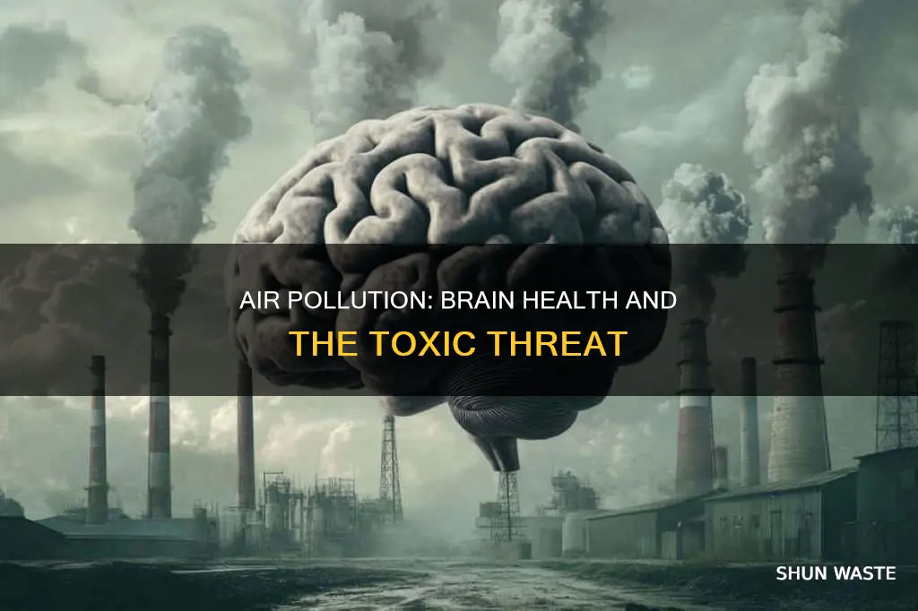 how air pollution affects the brain