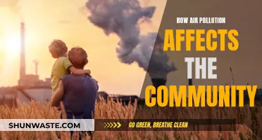 Air Pollution's Impact: Community Health and Wellbeing