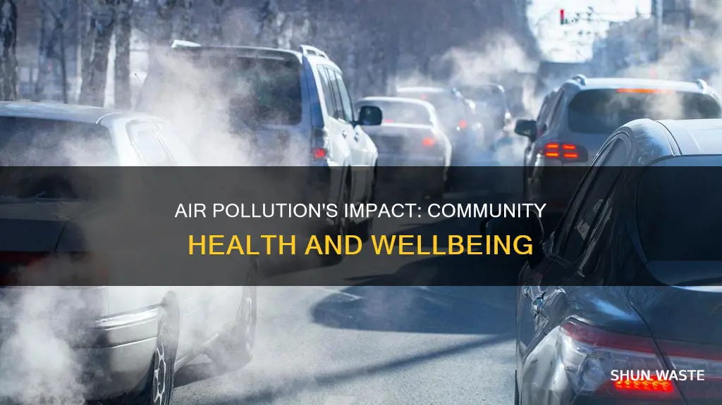 how air pollution affects the community