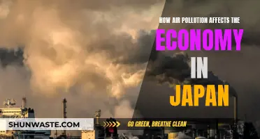 Air Pollution's Economic Impact on Japan