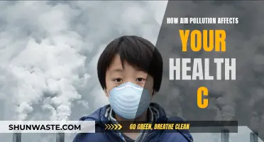 Air Pollution: Harmful Health Impacts You Need to Know