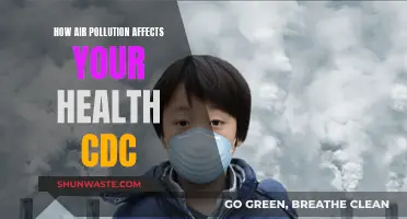 Air Pollution's Harmful Health Effects: A CDC Overview