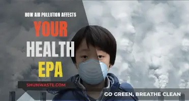 Air Pollution's Impact: Your Health and the EPA