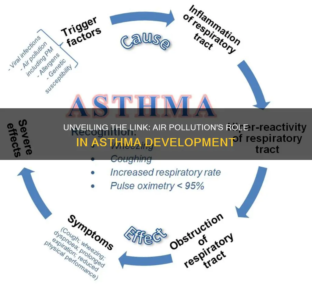 how air pollution cause asthma