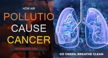 Unveiling the Toxic Link: Air Pollution's Cancerous Impact