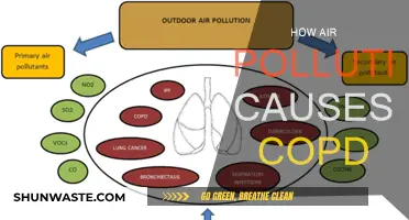 Unveiling the Link: Air Pollution's Impact on COPD