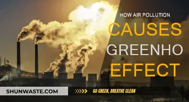 Air Pollution's Impact: Unveiling the Greenhouse Effect's Secrets