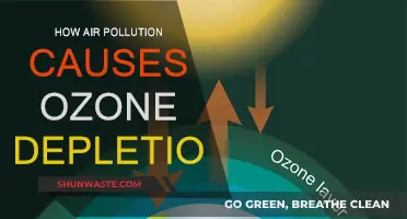 Unveiling the Hidden Link: Air Pollution's Role in Ozone Depletion