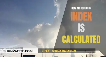 Air Pollution Index: Calculating the Air We Breathe