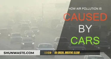 The Hidden Impact: How Cars Contribute to Air Pollution