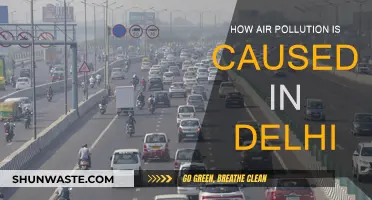 Unveiling Delhi's Air Pollution Crisis: Sources and Solutions